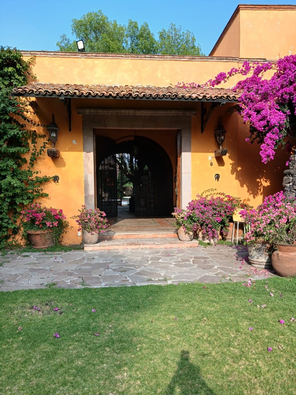 Casona amarilla con buganvilia morada en Hacienda Dolores, Querétaro