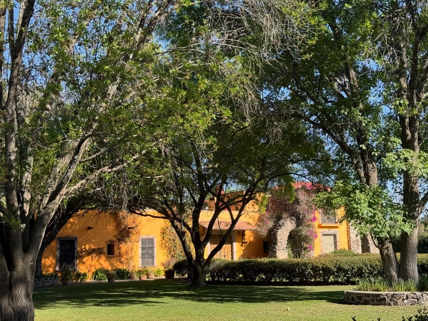 Casona amarilla entre árboles en Hacienda Dolores, Querétaro