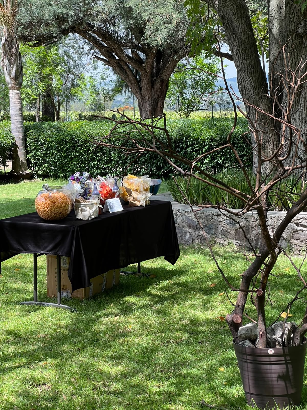Mesa de bienvenida bajo los árboles del jardín de Hacienda Dolores, Querétaro