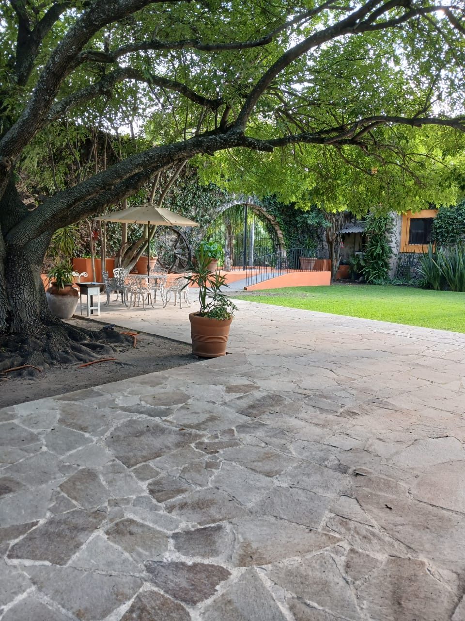 Entrada empedrada entre jardines de Hacienda Dolores, Querétaro