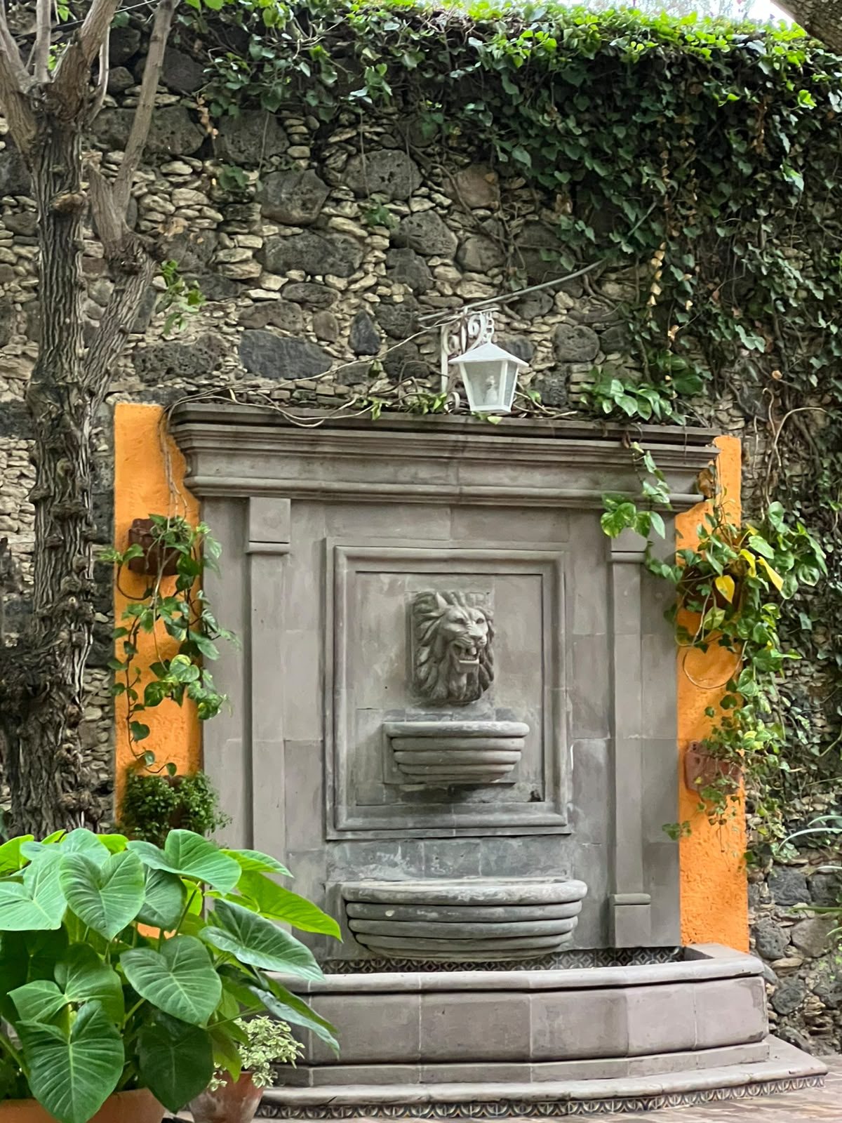 Fuente de pared con buganvilias en Hacienda Dolores, Querétaro