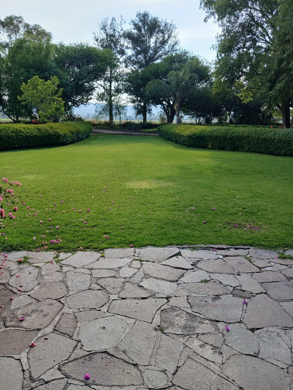 Jardín con setos recortados y piso de piedra en Hacienda Dolores, Querétaro