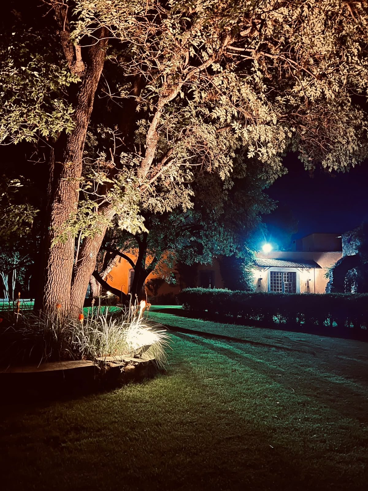 Vista nocturna de la casona de Hacienda Dolores entre árboles iluminados, Querétaro