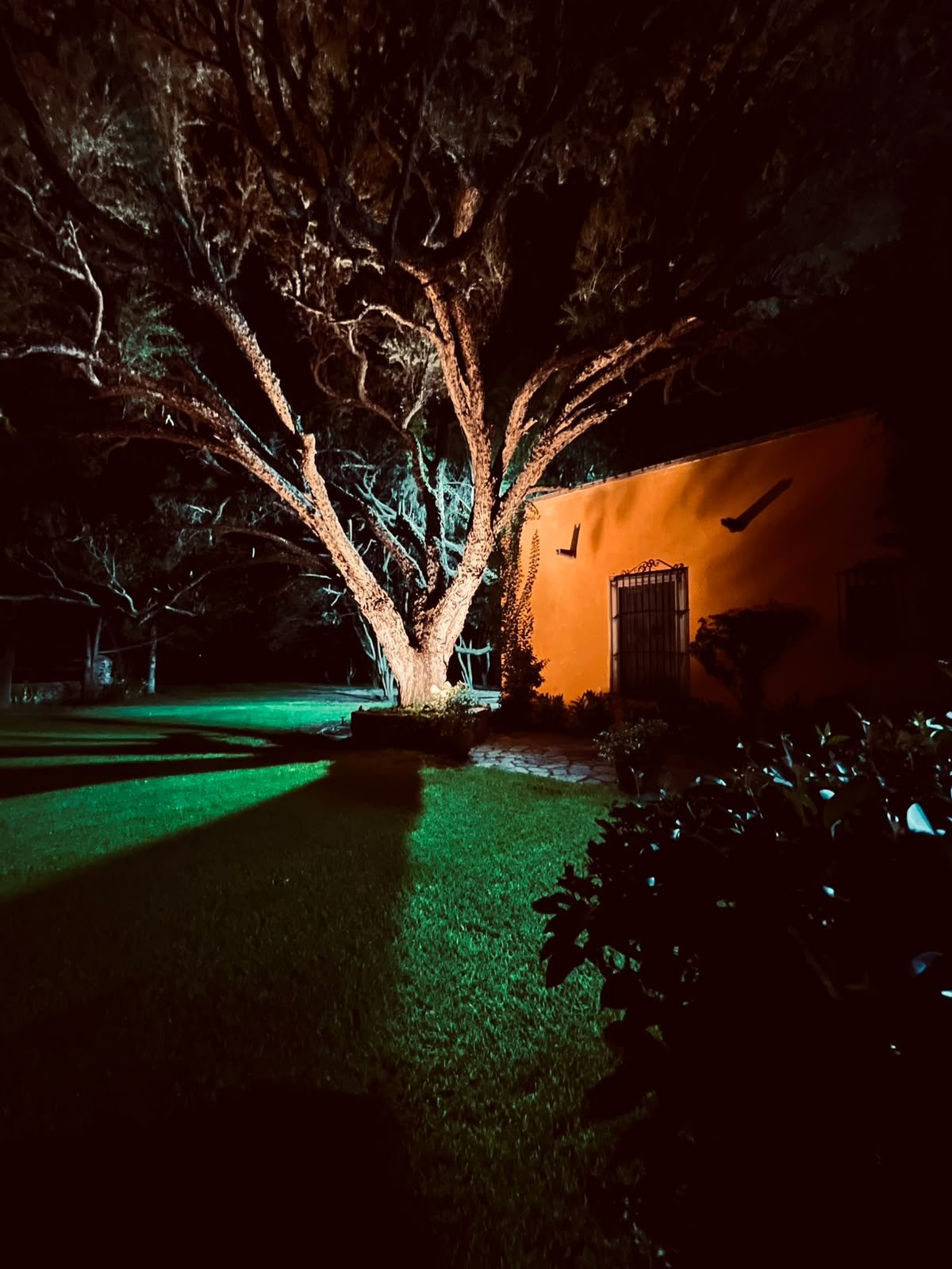 Jardín iluminado de noche en Hacienda Dolores, eventos nocturnos en Querétaro