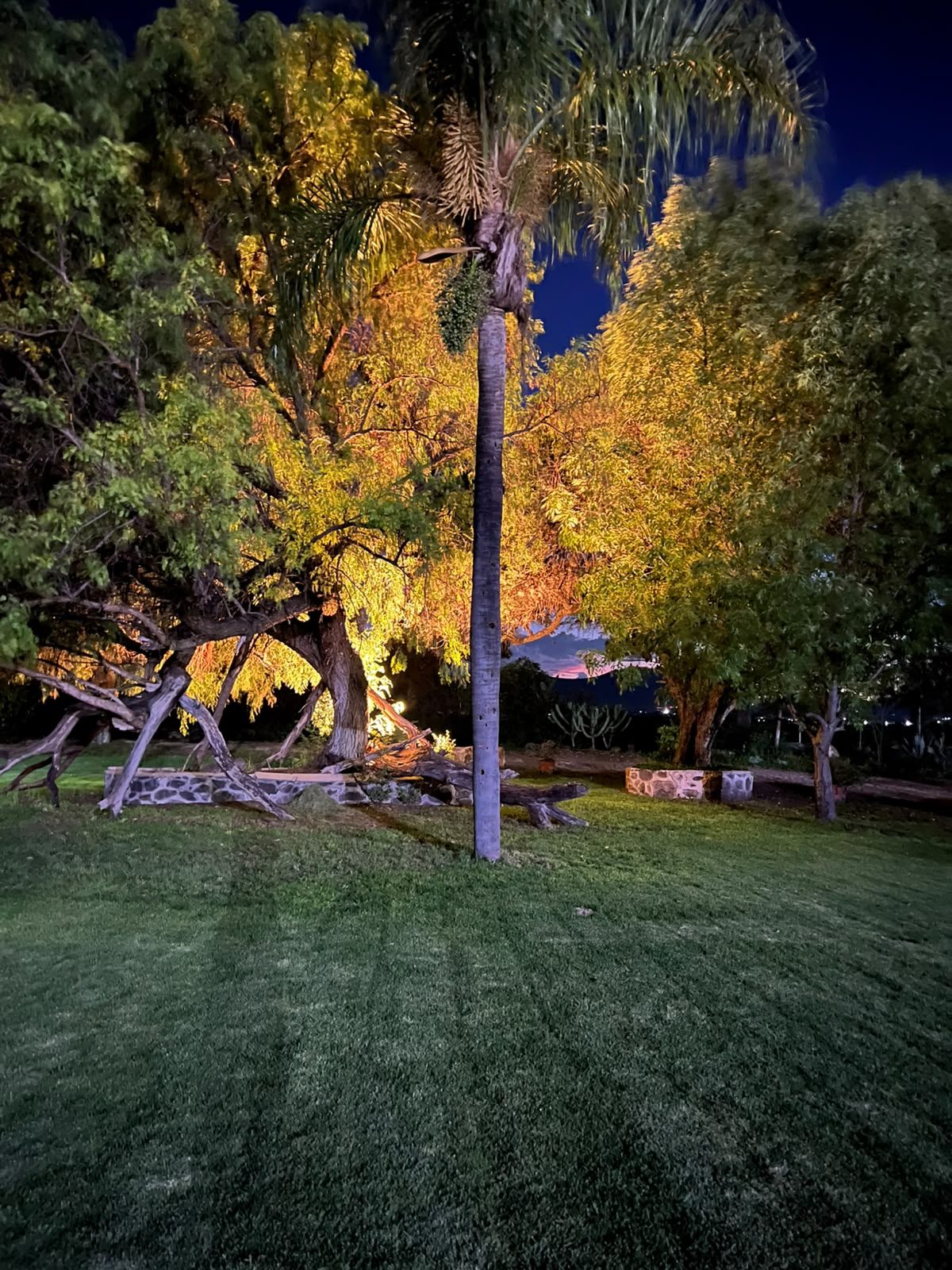 Jardín con iluminación ámbar de noche en Hacienda Dolores, Querétaro