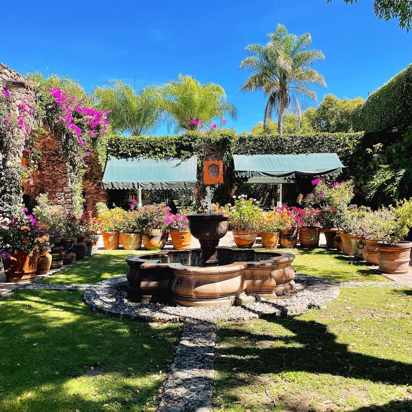 Fuente de cantera entre buganvilias y palmeras en Hacienda Dolores, Querétaro